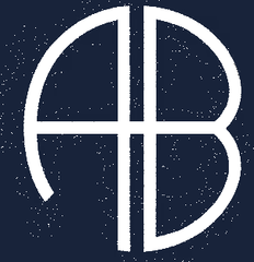 ANINE BING logo - Fashion brand example in Madgicx Labs Meta ads research