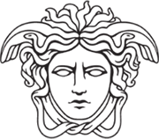 Versace logo - Luxury brand example in Madgicx Labs Meta ads research