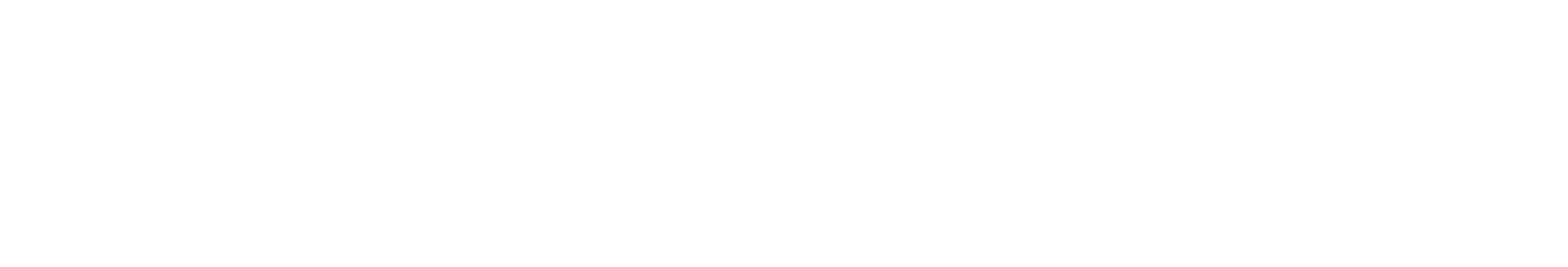 Bocini logo