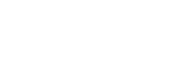 Elfa logo - Storage and organization brand example in Madgicx Labs Meta ads research