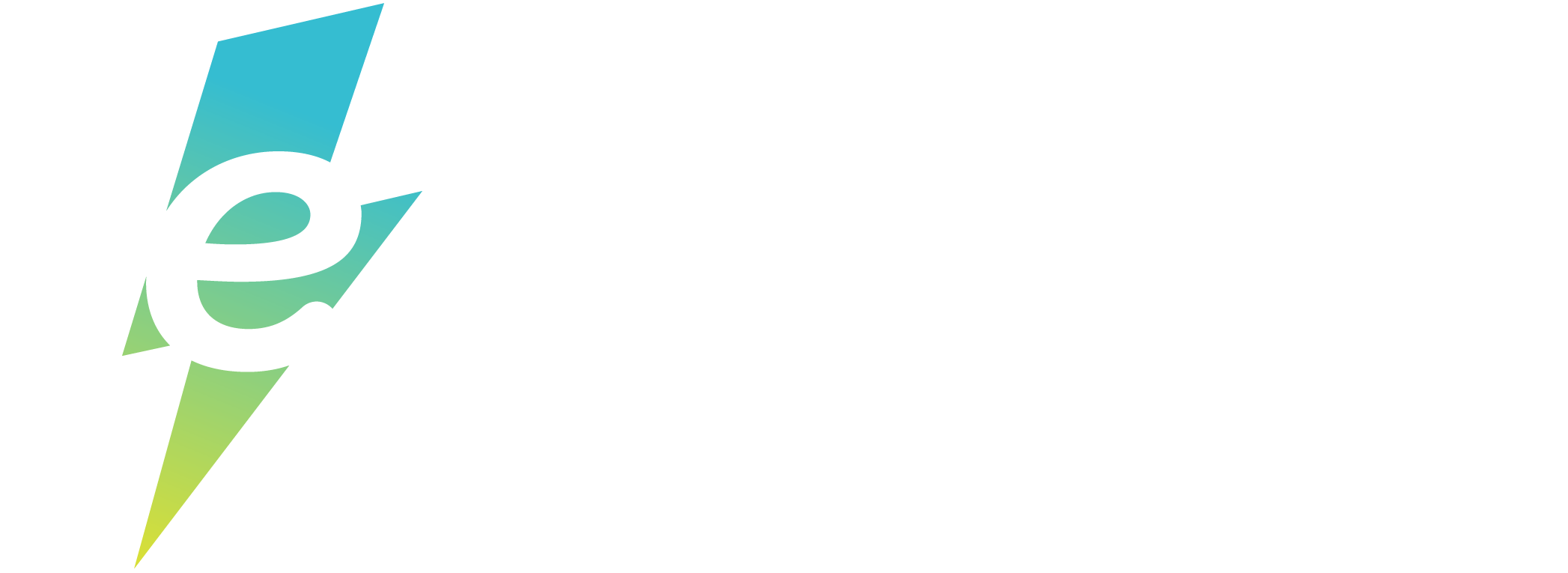 Electrify America logo - EV charging brand example in Madgicx Labs Meta ads research