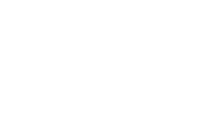 Alpha Industries logo — seasonal outerwear public brand example in Madgicx Labs research