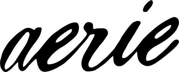 Aerie logo - Womens Apparel public brand example in Madgicx Labs Meta ads research