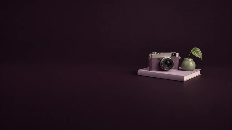 An unbranded camera and sage planter on a lilac book. - Dating & Relationship Services Meta ads research index