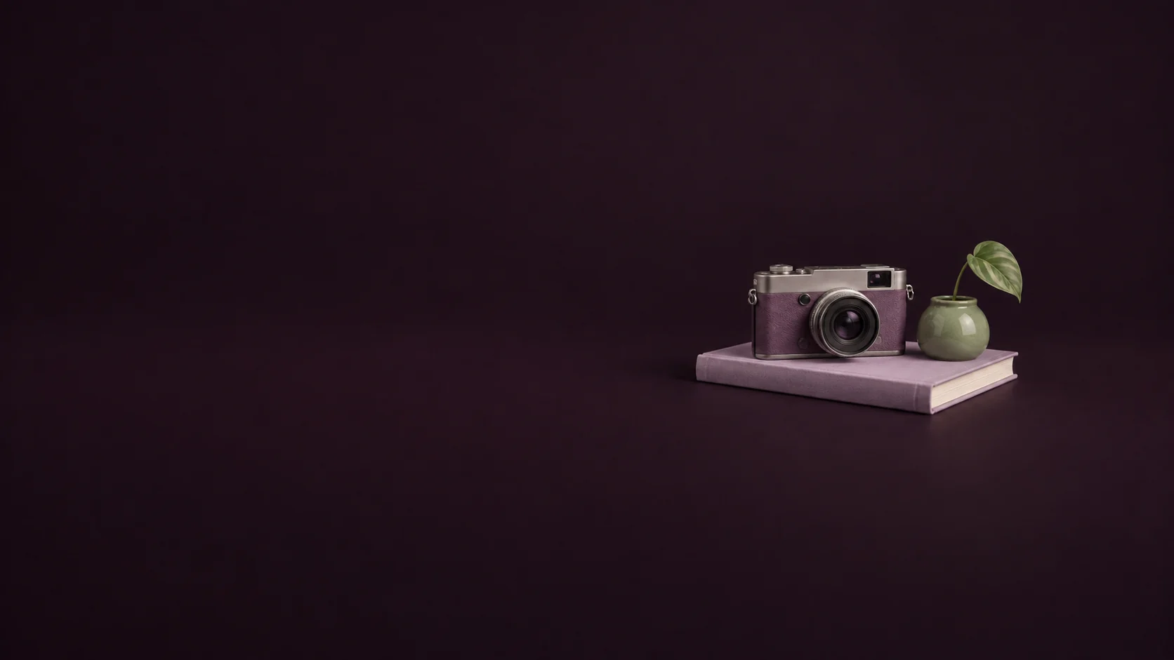 An unbranded camera and sage planter on a lilac book. - Niche Dating Services Meta ads research by Madgicx Labs