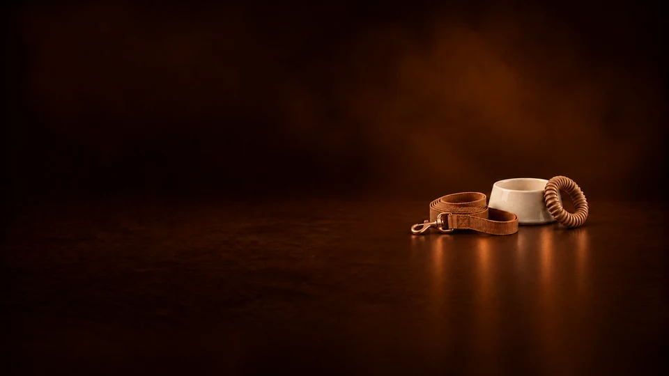 Coiled fabric leash beside an ivory pet bowl and a ribbed rubber play ring. - Pet Care Products & Services Meta ads research index