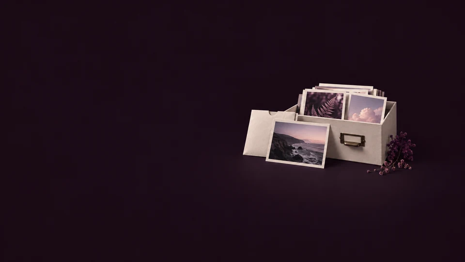 An open ivory photo drawer with fern, cloud and coastal prints and a separate sleeve. - Stock Media & Content Platforms Meta ads research index