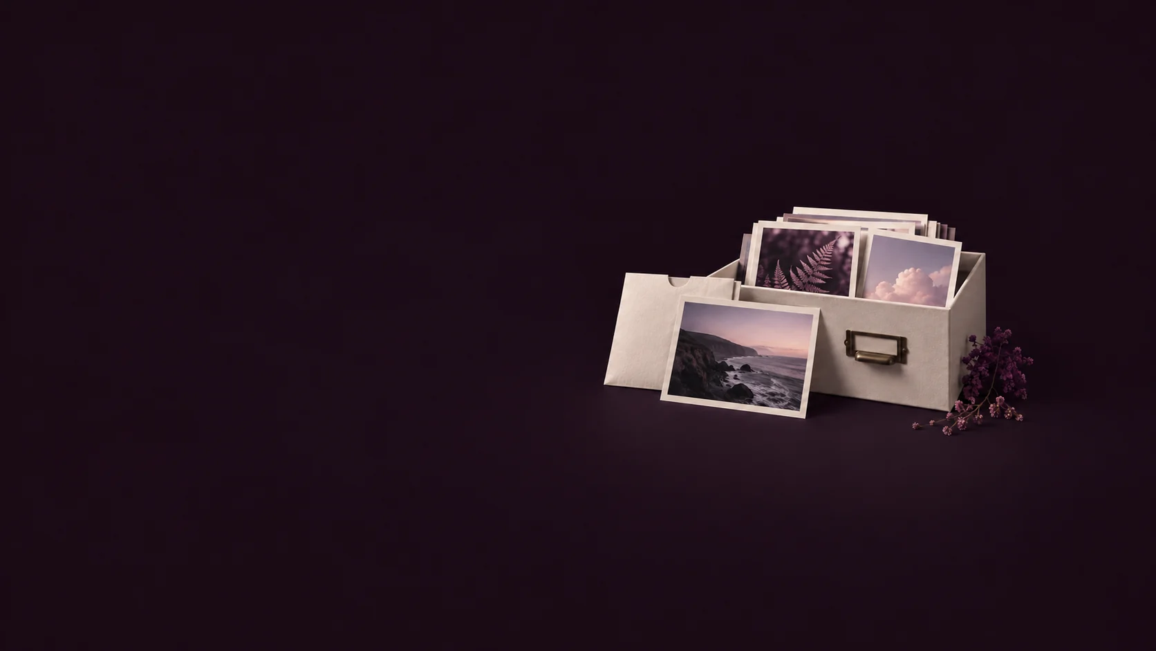 An open ivory photo drawer with fern, cloud and coastal prints and a separate sleeve. - Free Stock Media Platforms Meta ads research by Madgicx Labs
