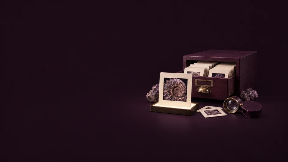 A specialist slide drawer with ammonite photographs, an illuminated mount and optical loupe. - Stock Media & Content Platforms Meta ads research index